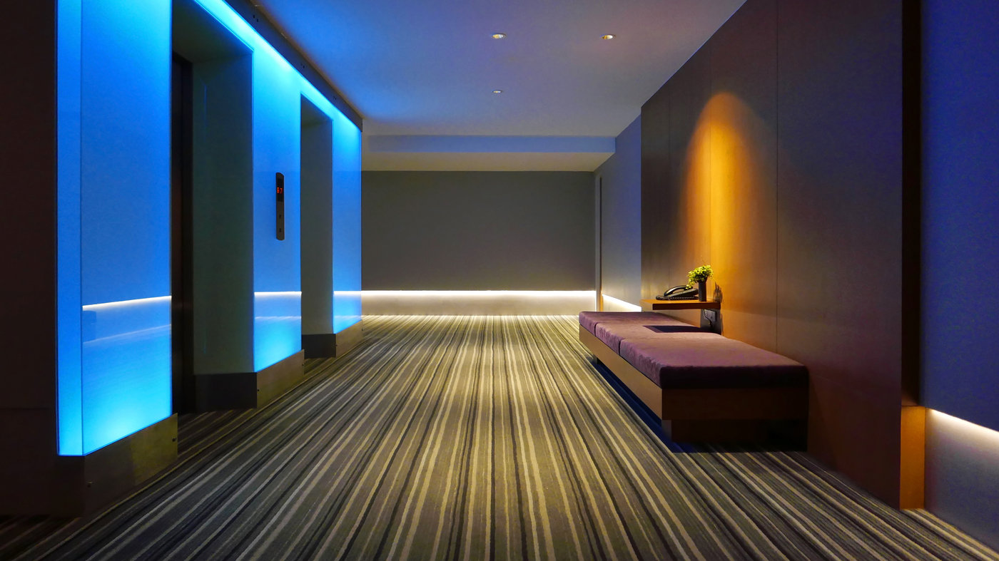 Carpet 1