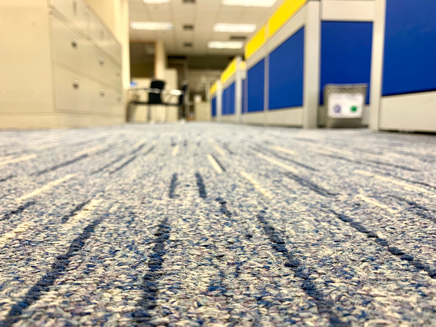 Carpet 3